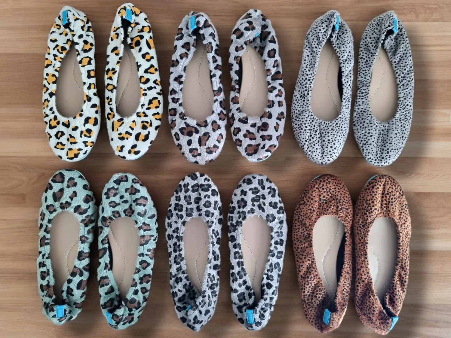 Leopard Collection